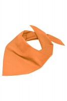 Orange (ca. Pantone OrangeC)